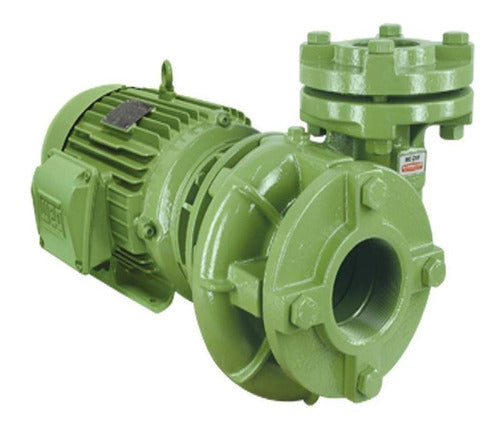 Bomba Schneider Bc-21 R 1 1/2 7,5 Cv Trifasica 220/380/440v Cor Verde Frequencia 60hz - Importadora Eletrica Brasilia